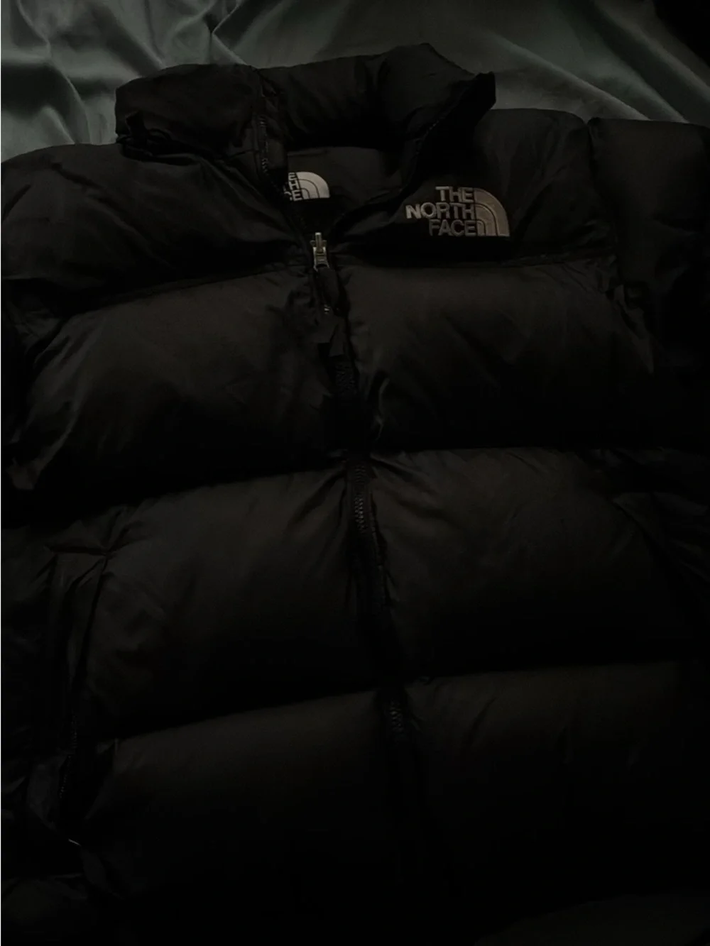 The North Face Black Puffer Jacket